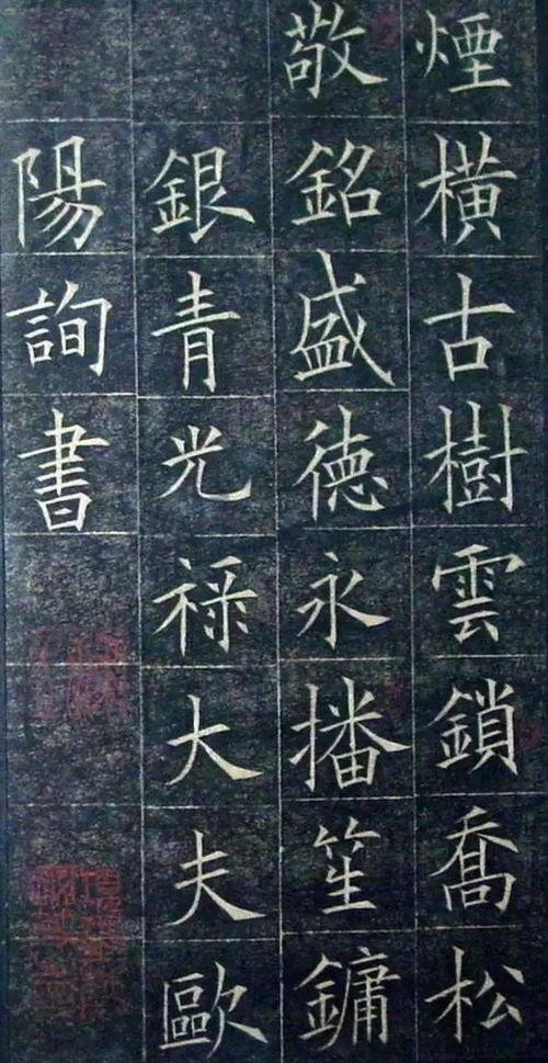 欧美楷书视频,跟随视频领略书法艺术之美