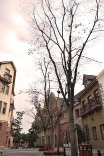 欧美小镇午后视频,悠闲时光的宁静画卷