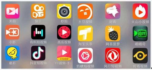 欧美最火短视频软件,揭秘TikTok的全球魅力