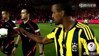 欧美健身女裁判视频大全,欧美健身女裁判风采展示