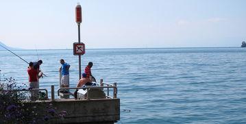欧美垂钓图片欣赏视频,捕捉自然之美，尽享宁静时光