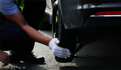 帅气开车视频欧美