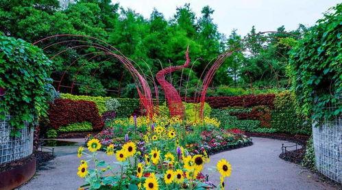 欧美花展之歌视频,花海盛宴的视听盛宴