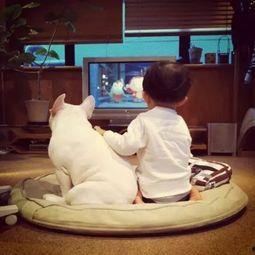 欧美干小孩下面视频,探索成长与学习的奥秘